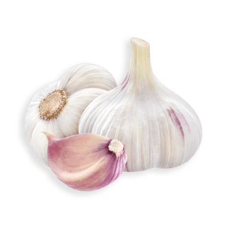 garlic